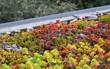 the cost of Dyers Green green roof installation