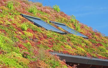 Dyers Green living roof systems