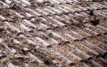 Dyers Green roof cleaning companies