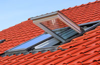 Dyers Green roof window